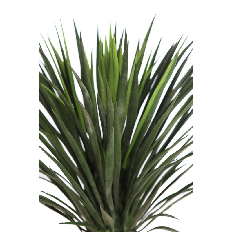 PLANTA DE AGAVE CACTUS CON MACETA 80 CM