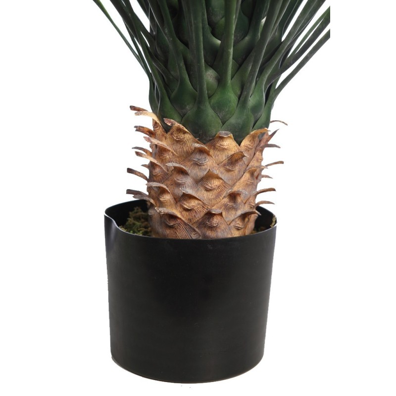 PLANTA DE AGAVE CACTUS CON MACETA 80 CM