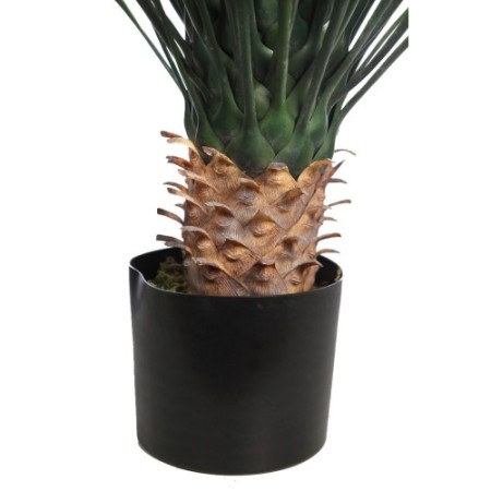 PLANTA DE AGAVE CACTUS CON MACETA 80 CM