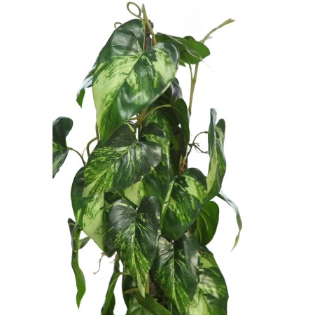 TUTOR CALADIUM ARTIFICIAL CON MACETA 75CM