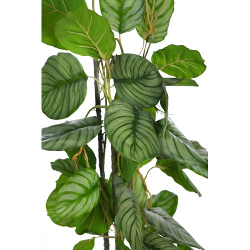 TUTOR CALATHEA ARTIFICIAL 75CM 2