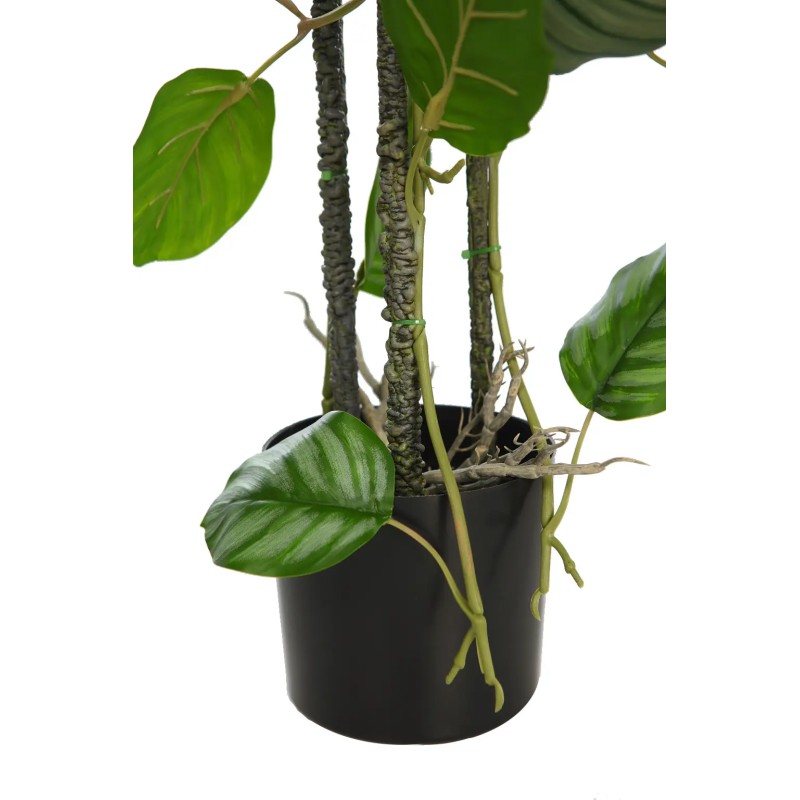 TUTOR CALATHEA ARTIFICIAL 75CM