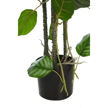 TUTOR CALATHEA ARTIFICIAL 75CM