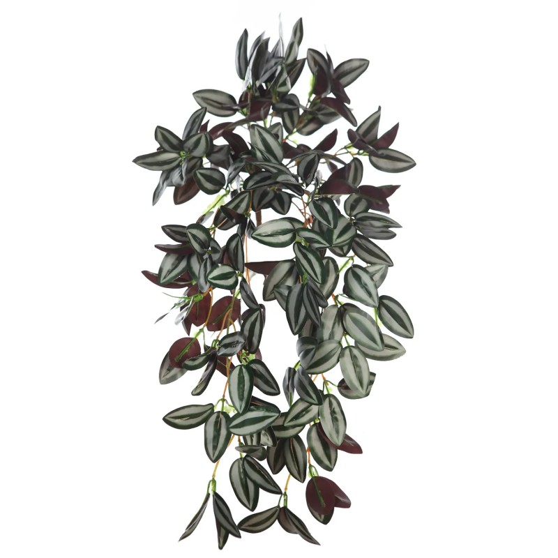 PLANTA COLGANTE TRADESCANTIA 50CM