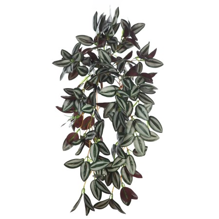 PLANTA COLGANTE TRADESCANTIA 50CM