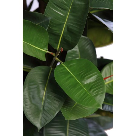 ARBOL DE FICUS ELASTICA ARTIFICIAL CON MACETA 180CM