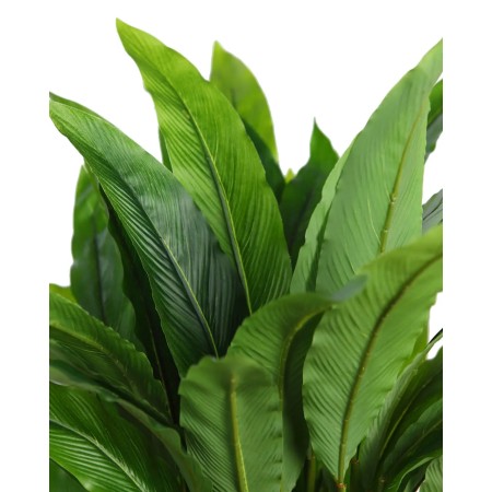 CALATHEA ARTIFCIAL EN MACETA 75CM