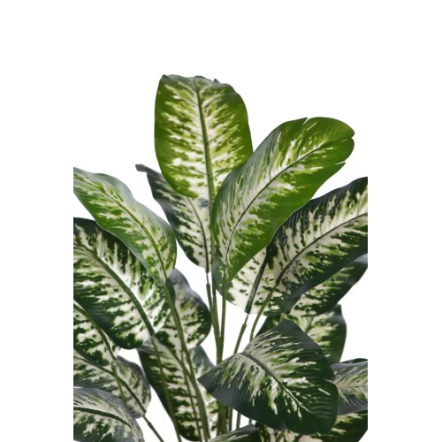 DIFEMBACHIA ARTIFICIAL 65CM 2
