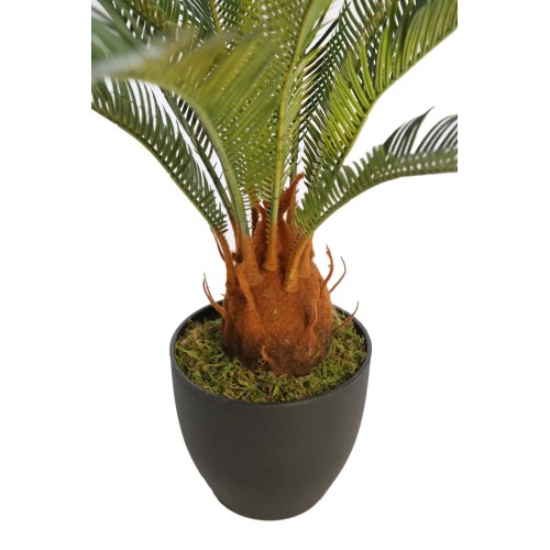 CYCAS CON MACETA 65CM 2