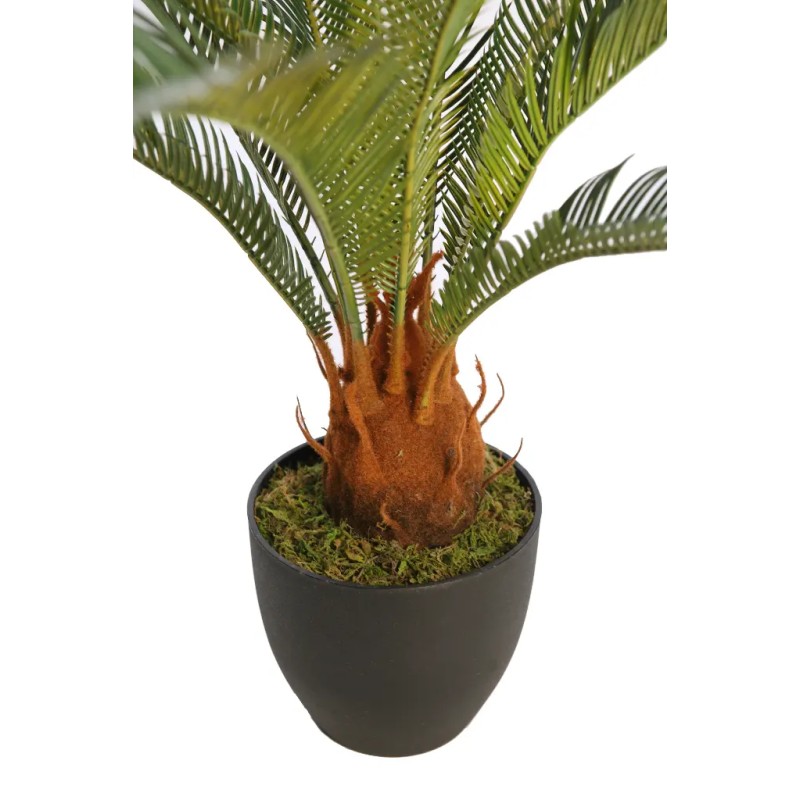 CYCAS CON MACETA 65CM