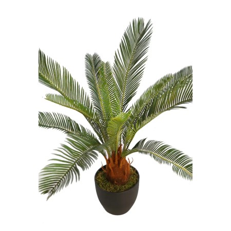 CYCAS CON MACETA 65CM