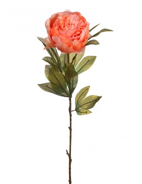 Vara De Peonia 70cm al mejor precio ✓