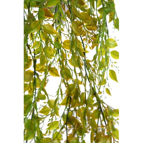 ENREDADERA COLGANTE 75CM 2