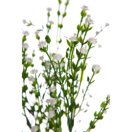 MATA FLOR MINI GIPSOFILA ARTIFICIAL 35CM