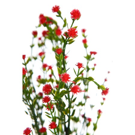 MATA FLOR MINI GIPSOFILA ARTIFICIAL 35CM