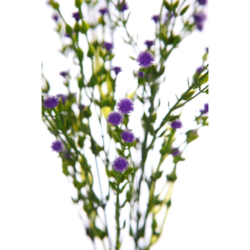 MATA FLOR MINI GIPSOFILA ARTIFICIAL 35CM