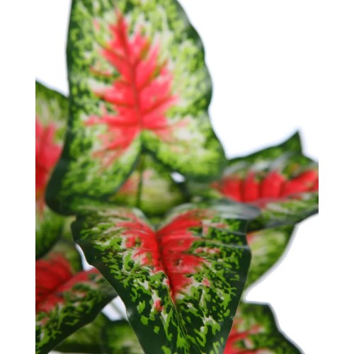 PLANTA CALADIUM ARTIFICIAL 35CM 2
