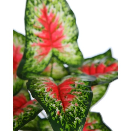 PLANTA CALADIUM ARTIFICIAL 35CM