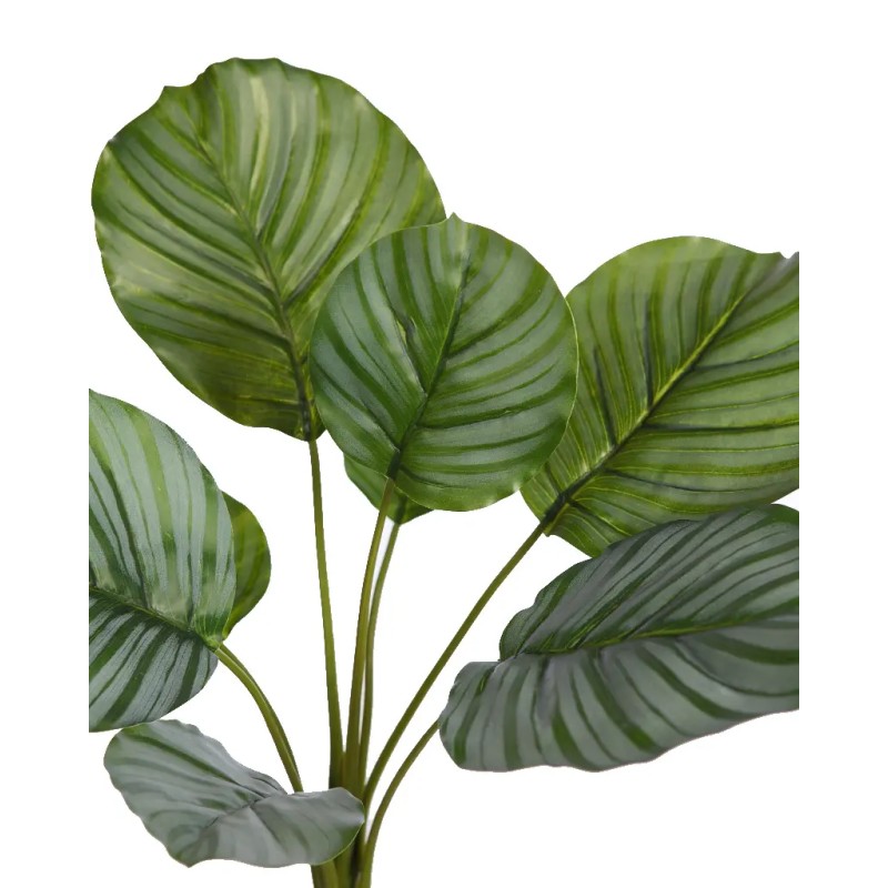 PLANTA CALATHEA ARTIFICIAL 46CM