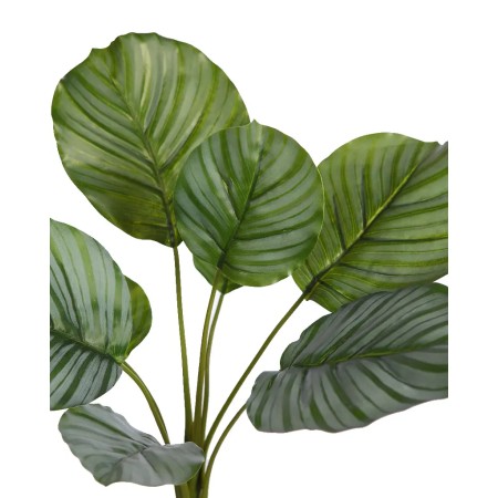 PLANTA CALATHEA ARTIFICIAL 46CM