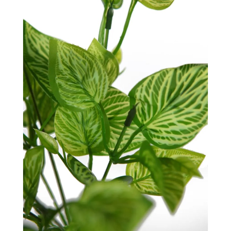 PLANTA CEBRA ARTIFICIAL 30CM