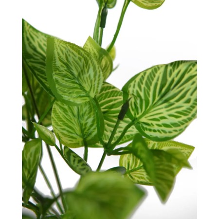 PLANTA CEBRA ARTIFICIAL 30CM