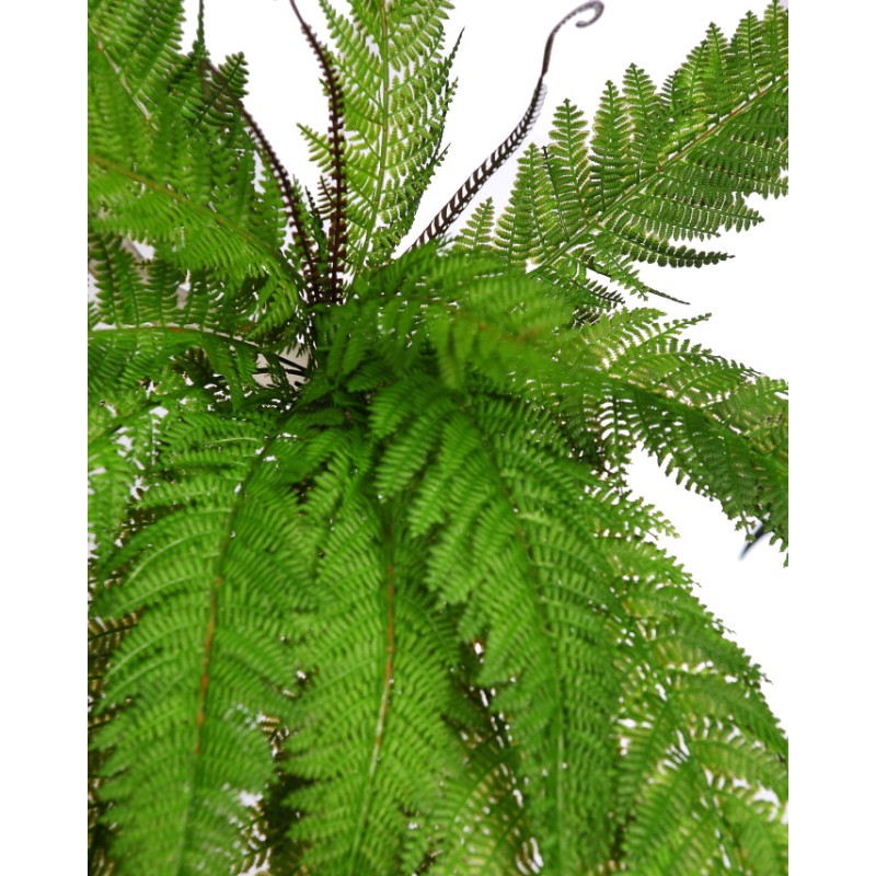 PLANTA DE HELECHO ARTIFICIAL 48CM