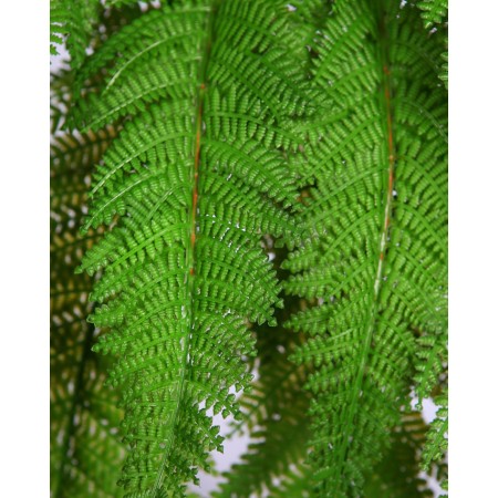 PLANTA DE HELECHO ARTIFICIAL 48CM