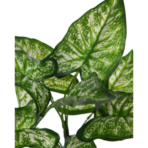 PLANTA DIFEMBACHIA ARTIFICIAL 35CM 2