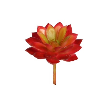 CRASA ECHEVERIA MINI 8CM ARTIFICIAL