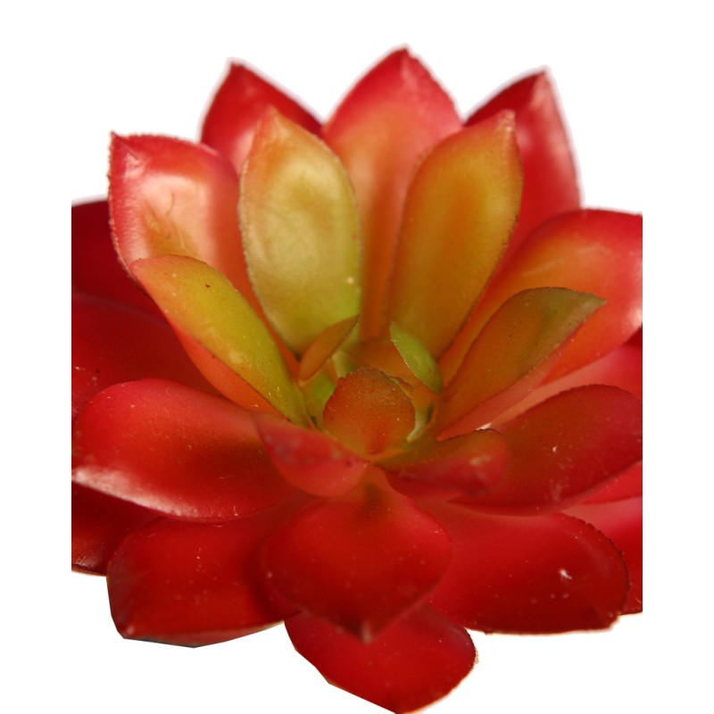 CRASA ECHEVERIA MINI 8CM ARTIFICIAL