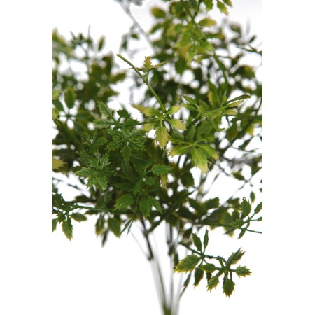 PLANTA PEREJIL ARTIFICIAL 36CM