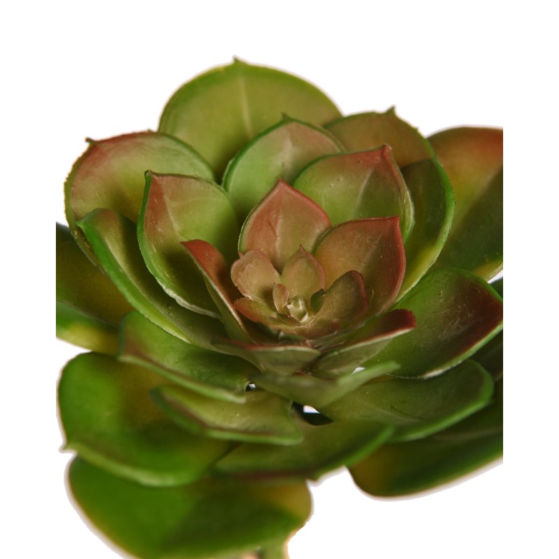 CRASA ECHEVERIA TESENSIS ARTIFICIAL 10CM