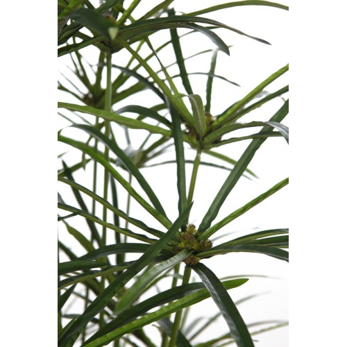 PLANTA PAPIRO ARTIFICIAL 160CM 2