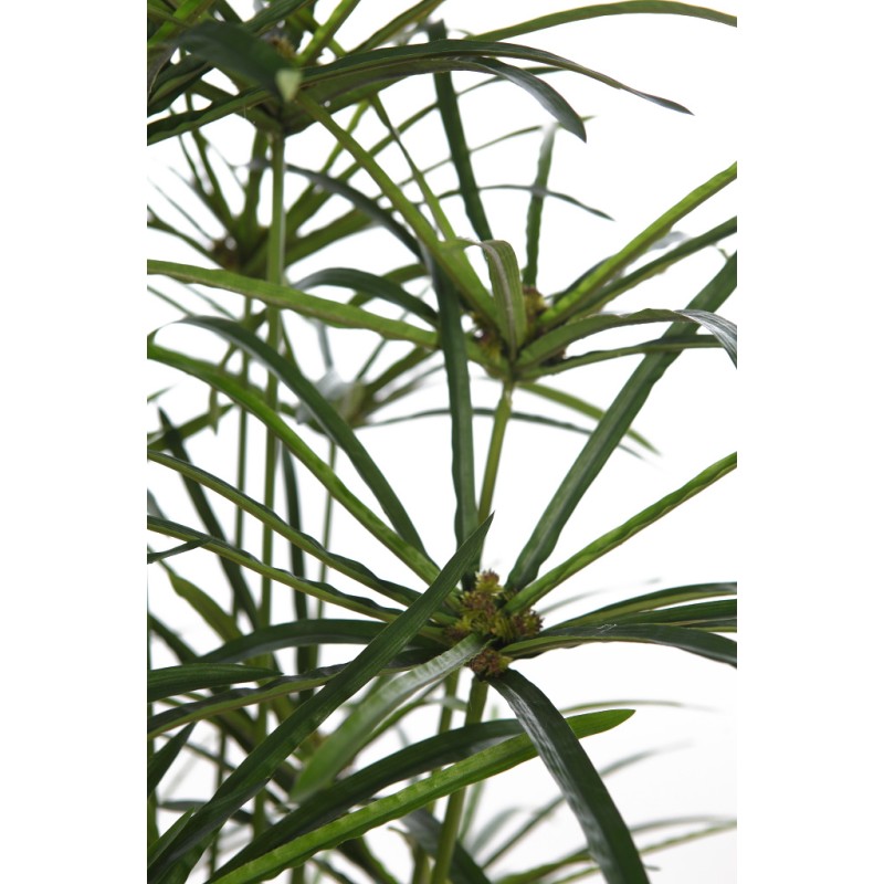 PLANTA PAPIRO ARTIFICIAL 160CM