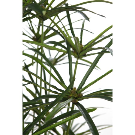 PLANTA PAPIRO ARTIFICIAL 160CM