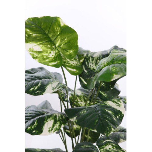 PLANTA POTHO ARTIFICIAL 65CM 2