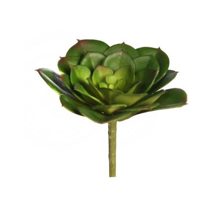 CRASA ECHEVERIA TESENSIS ARTIFICIAL 10CM