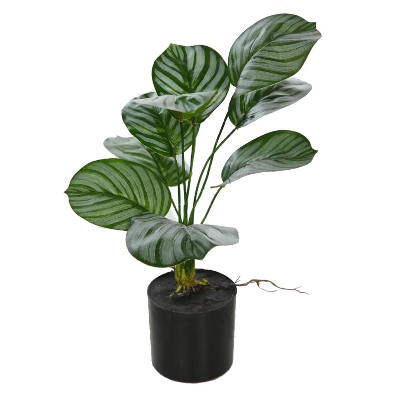 CALATEA ARTIFICIAL EN MACETA 50CM