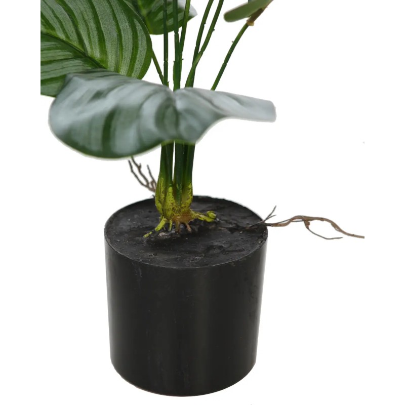 CALATEA ARTIFICIAL EN MACETA 50CM