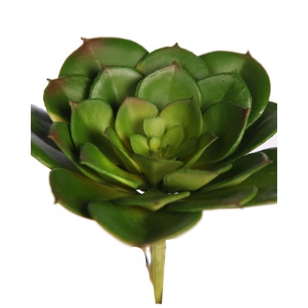 CRASA ECHEVERIA TESENSIS ARTIFICIAL 10CM
