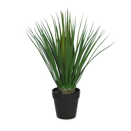 DRACENA ARTIFICIAL 50CM