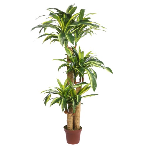 DRACENA ARTIFICIAL EN MACETA 145CM