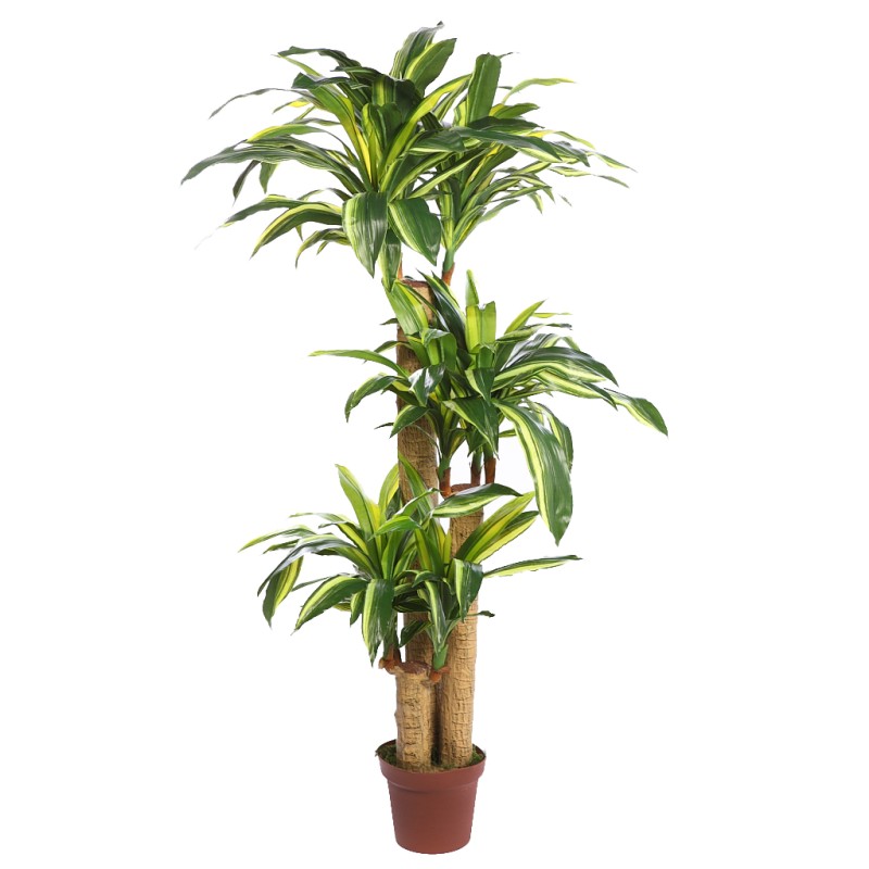DRACENA ARTIFICIAL EN MACETA 145CM