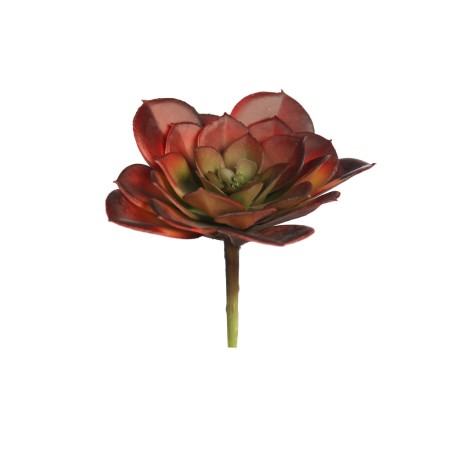 CRASA ECHEVERIA TESENSIS ARTIFICIAL 10CM