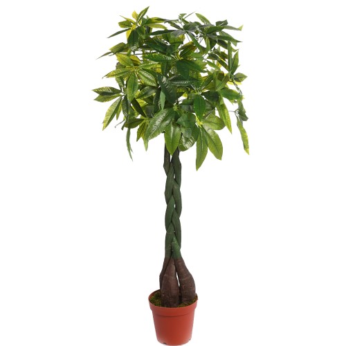 PACHIRA ARTIFICIAL EN MACETA 160CM ANCHO 70CM