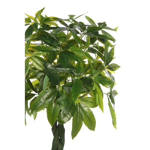 PACHIRA ARTIFICIAL EN MACETA 160CM ANCHO 70CM 2