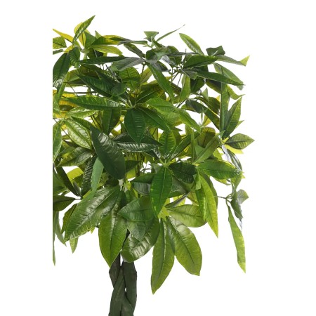 PACHIRA ARTIFICIAL EN MACETA 160CM ANCHO 70CM