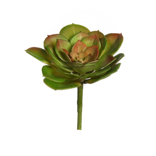 CRASA ECHEVERIA TESENSIS ARTIFICIAL 10CM