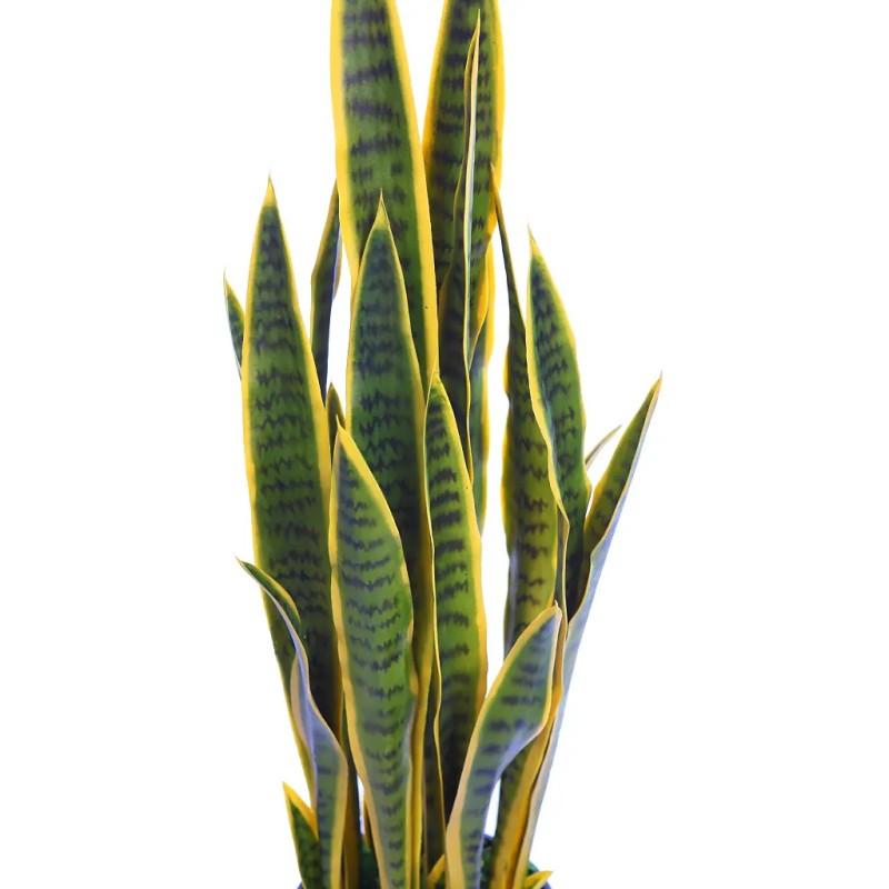 SANSEVIERIA ARTIFICIAL EN MACETA, 106CM EXT